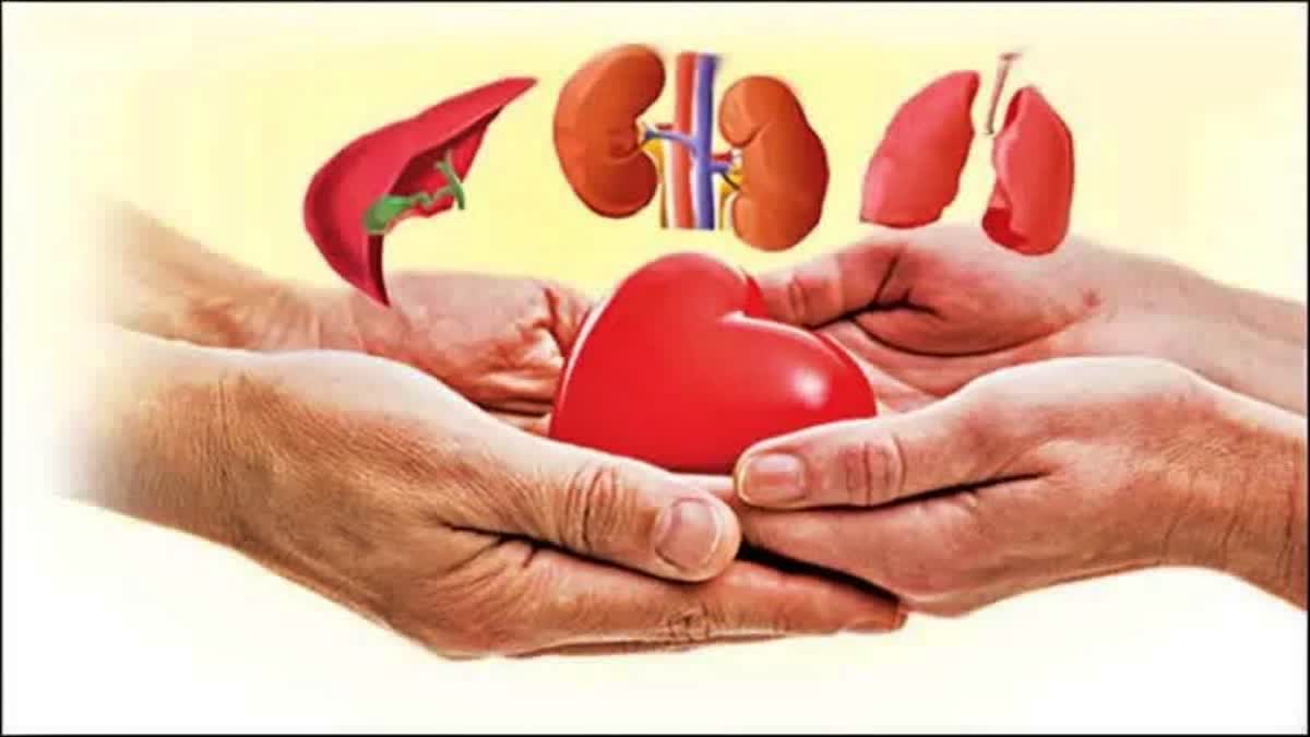 23 DAYS BABY MOTHER ORGAN DONATION