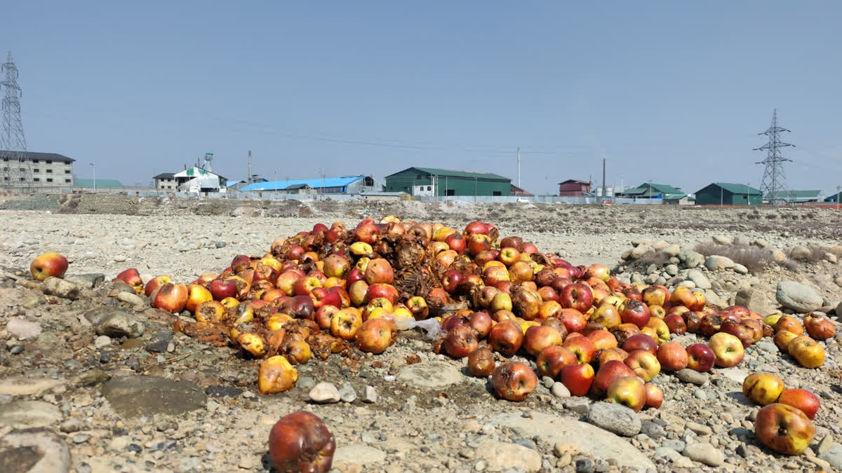 رمبی أرا نالہ شدید آلودگی کا شکار، مقامی لوگوں نے کیا تشویش کا اظہار رمبی أرا نالہ شدید آلودگی کا شکار، مقامی لوگوں نے کیا تشویش کا اظہار