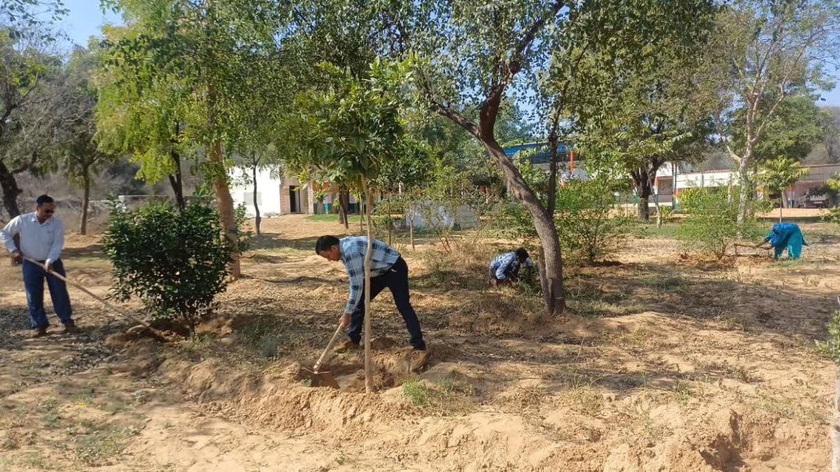 Green Model in School