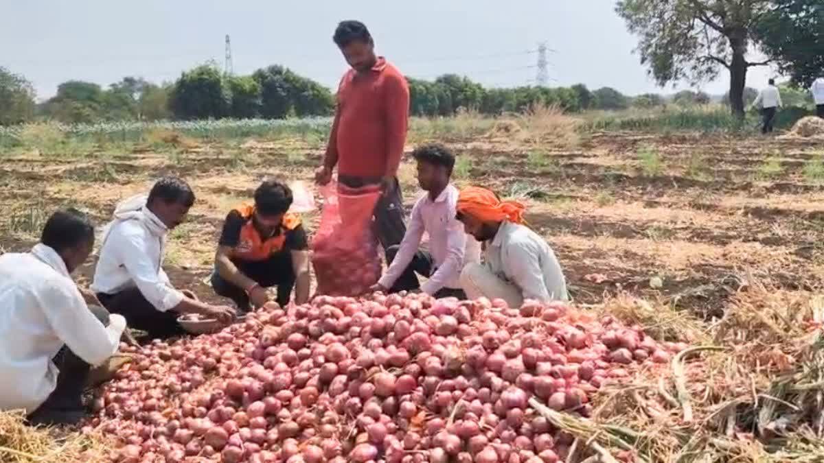 BEED ONION FARMER