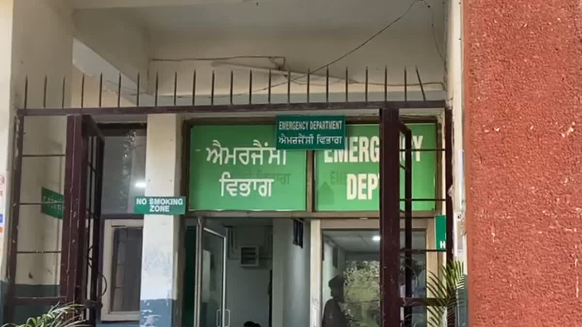 STRAY DOGS ATTACK CHILD