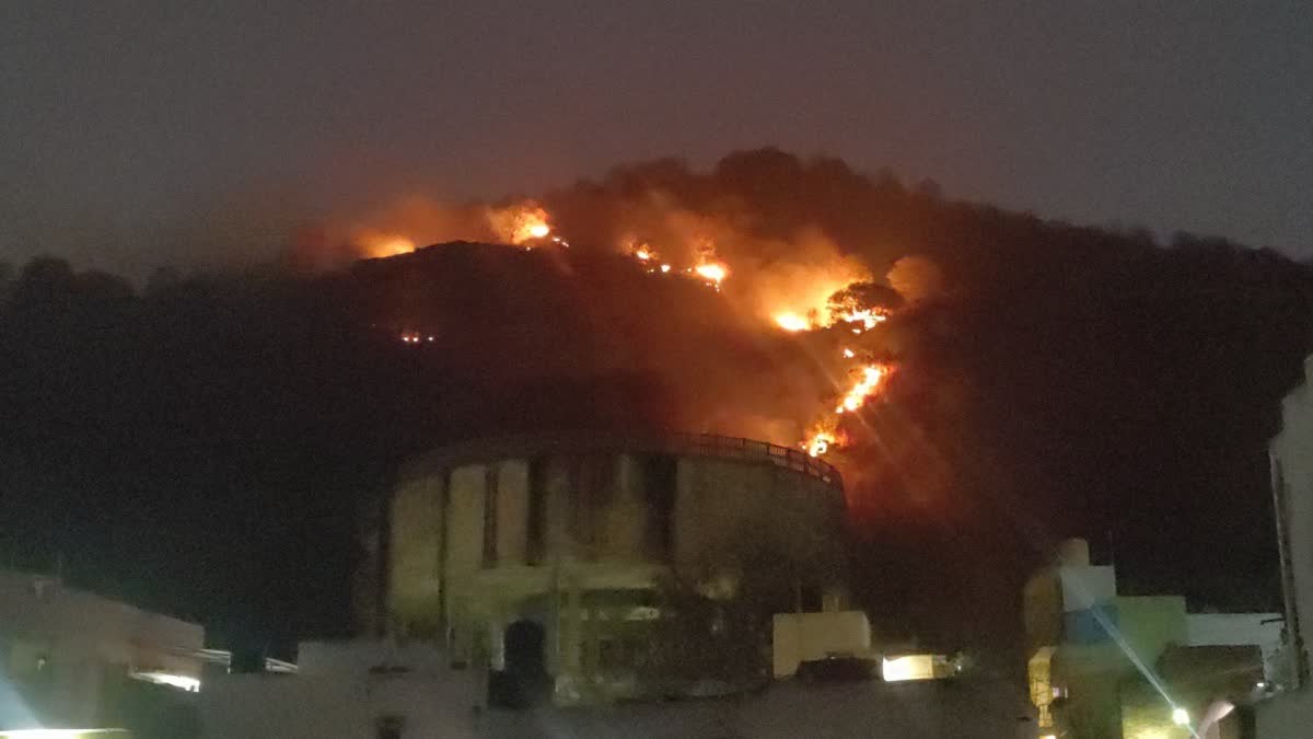 தீ விபத்து நடைபெற்ற மலைப்பகுதி