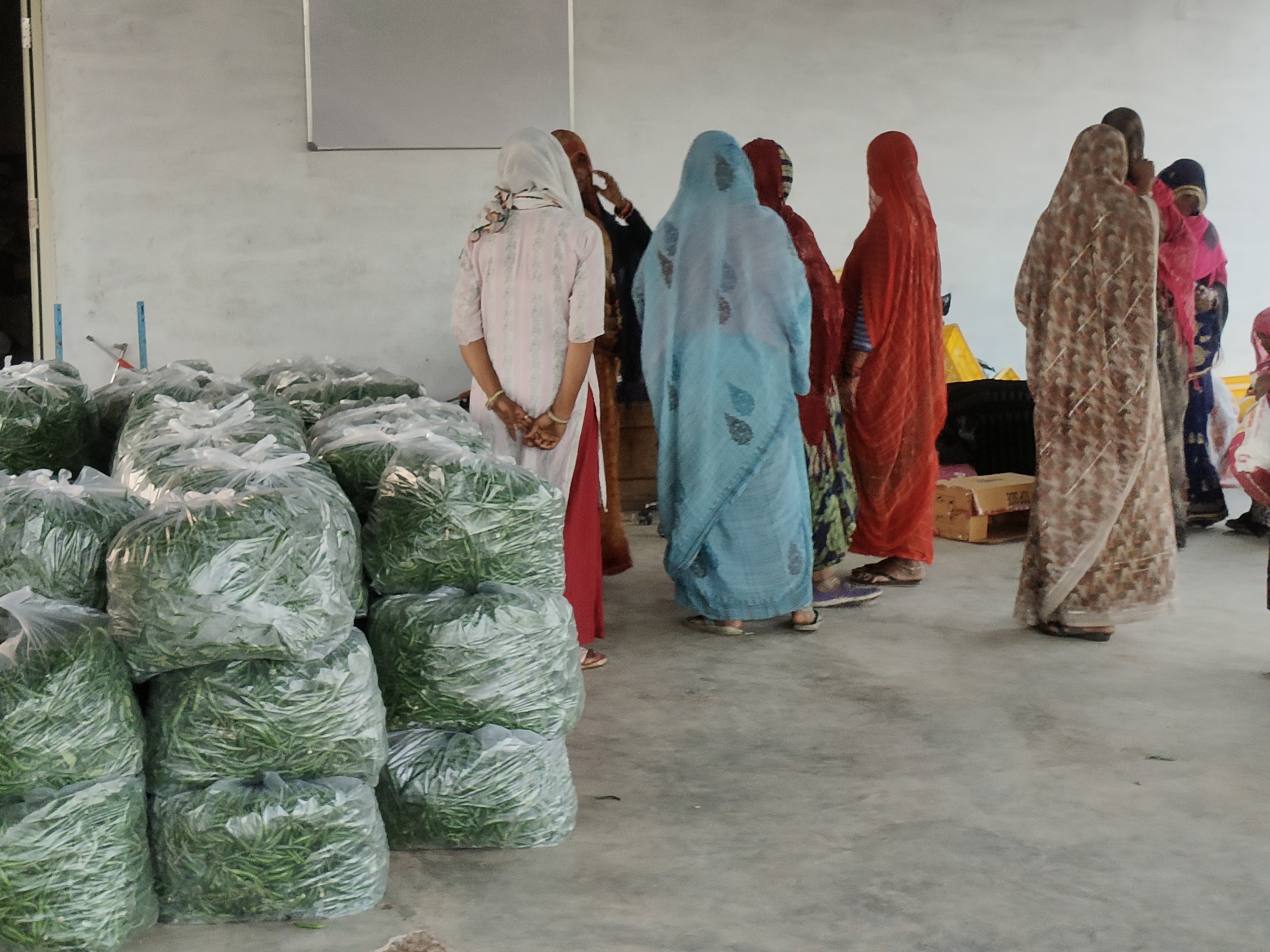 MADHYA PRADESH MILLIONAIRE FARMER