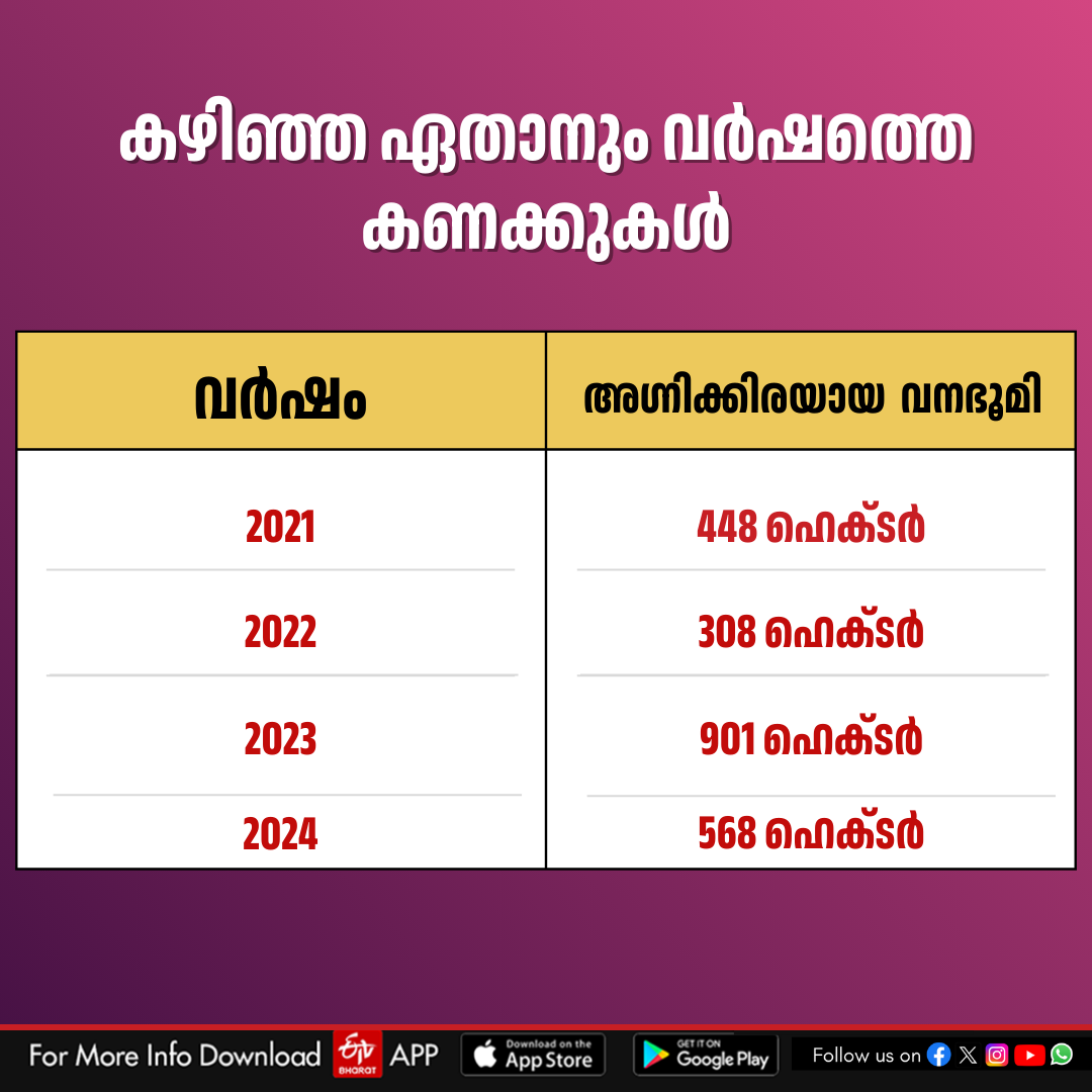 കാട്ടുതീ  വനം തിന്നുന്ന കാട്ടുതീ  WILDFIRE  കാട്ടുതീ കേരളം
