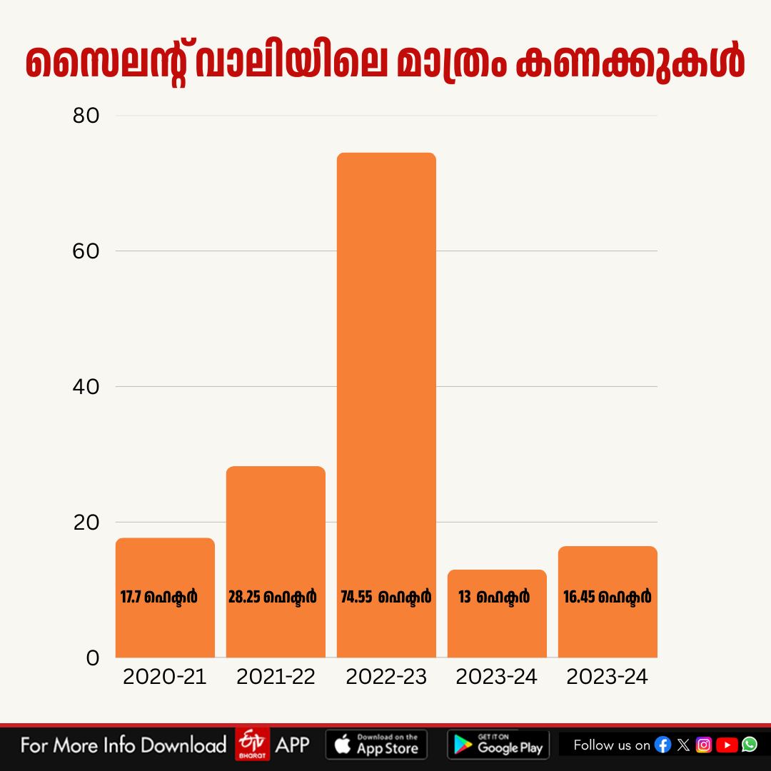 കാട്ടുതീ  വനം തിന്നുന്ന കാട്ടുതീ  WILDFIRE  കാട്ടുതീ കേരളം