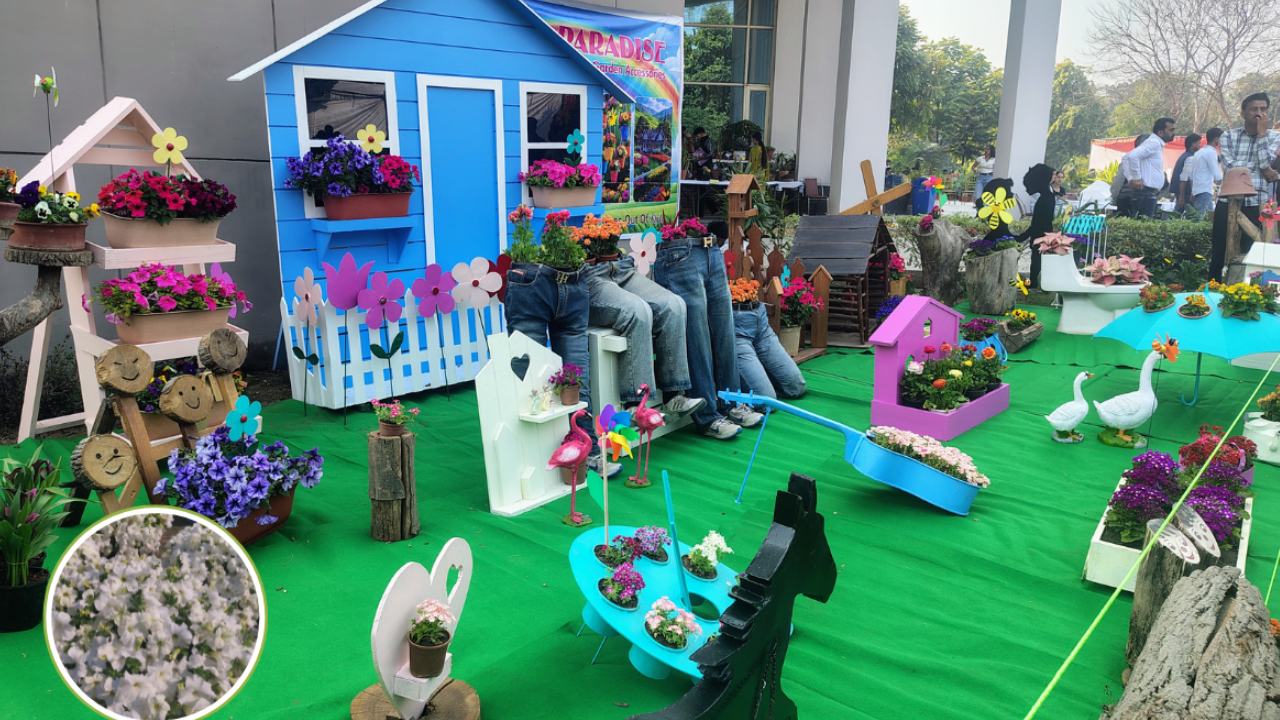 Flower fair in ludhiana PAU