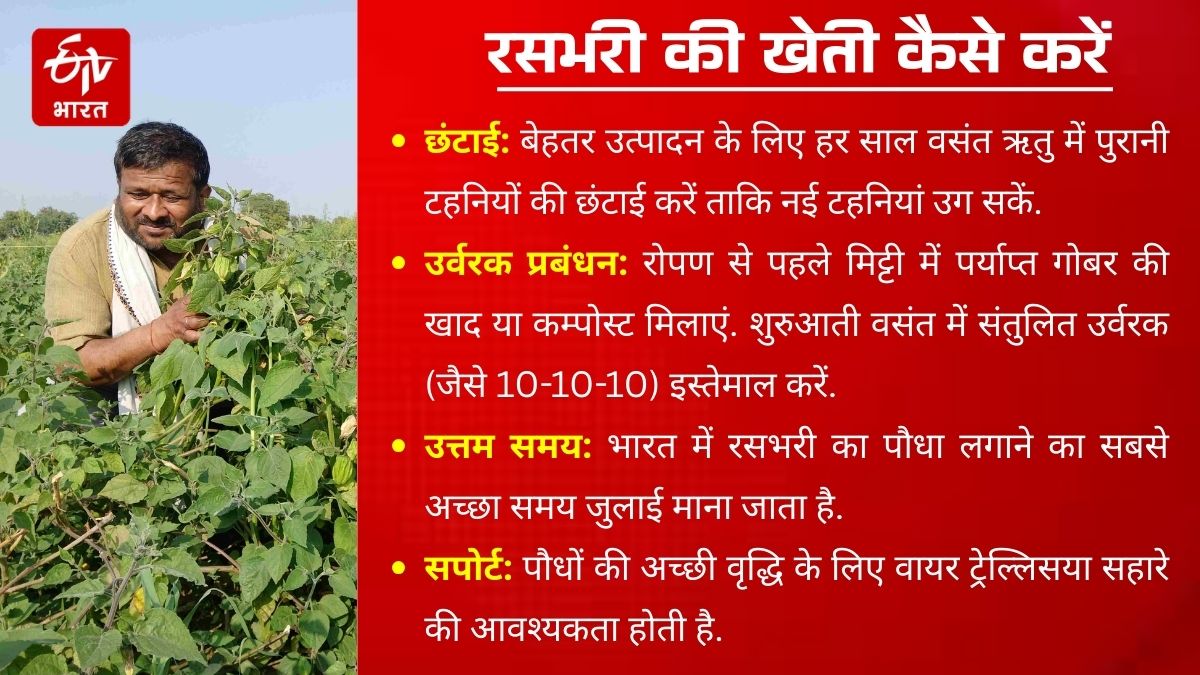 Photo Credit: ETV Bharat