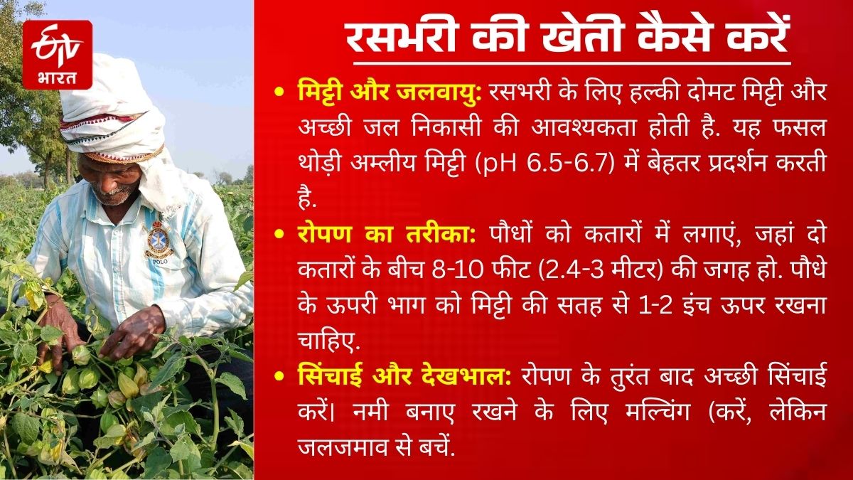 Photo Credit: ETV Bharat