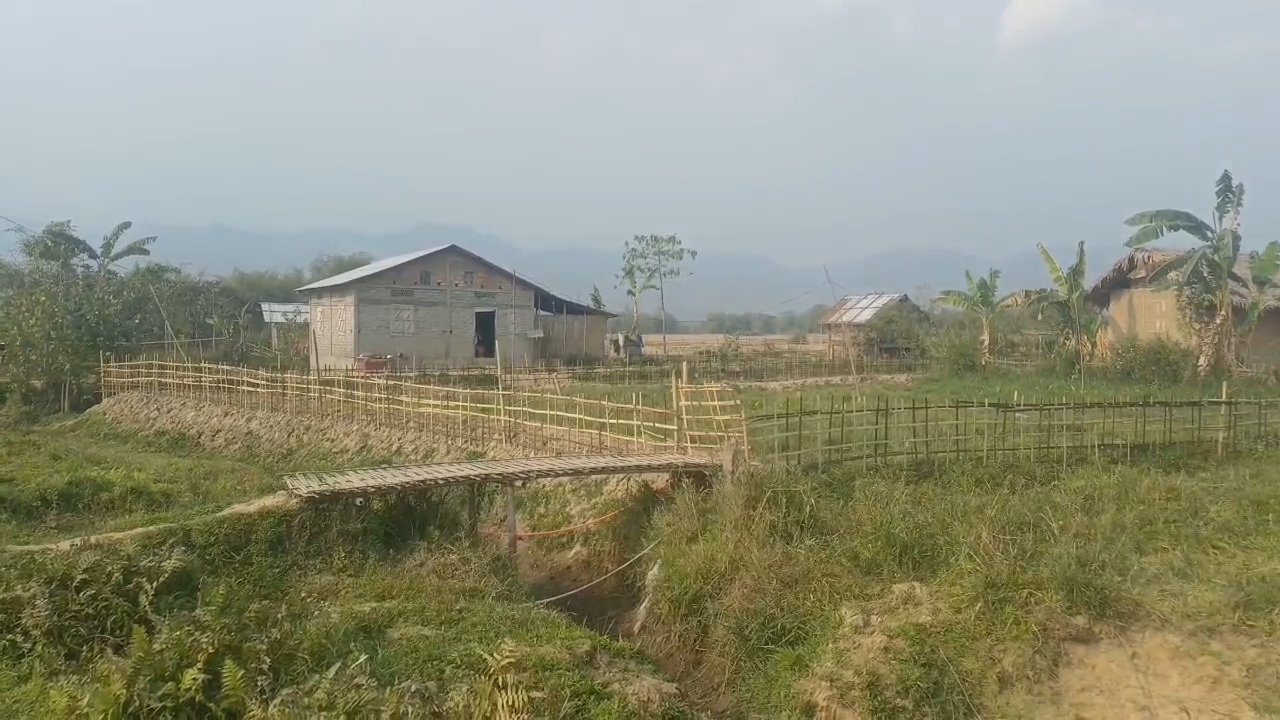 Assam Assembly election