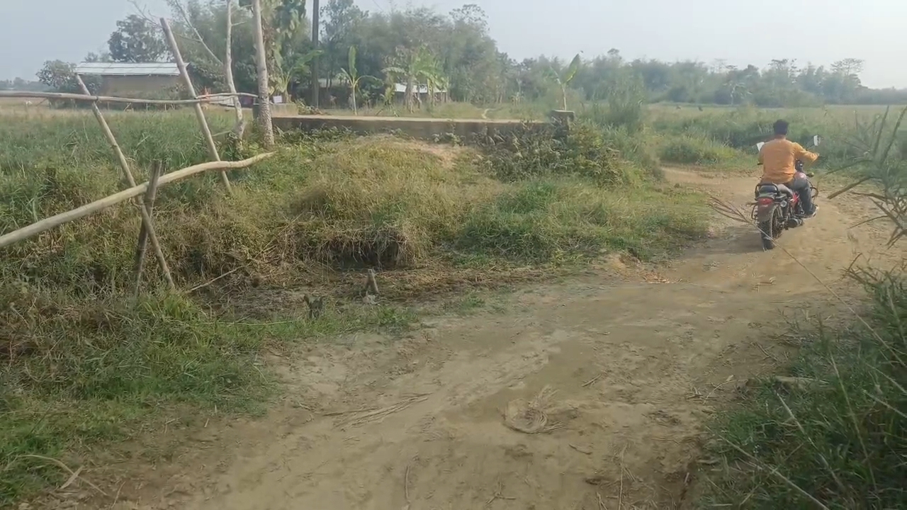 Assam Assembly election