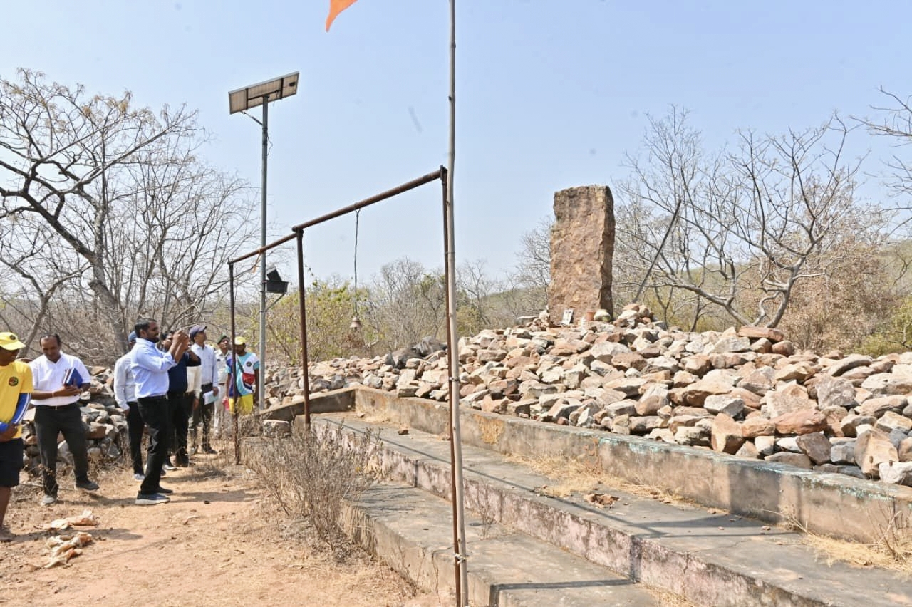 Collector captured pictures in mobile