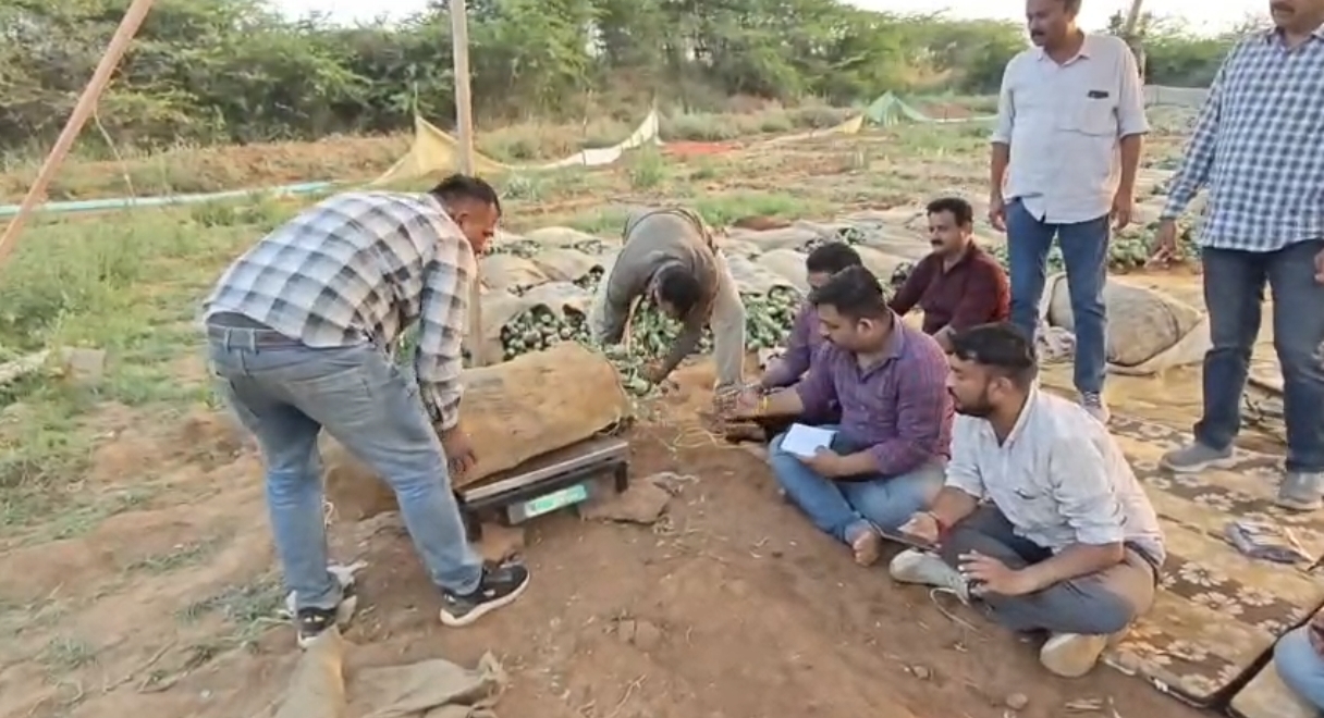 સરકારી જમીન પર અફીણ ડોડાનો 6,273 કિલો જથ્થો જપ્ત કરવામાં આવ્યો