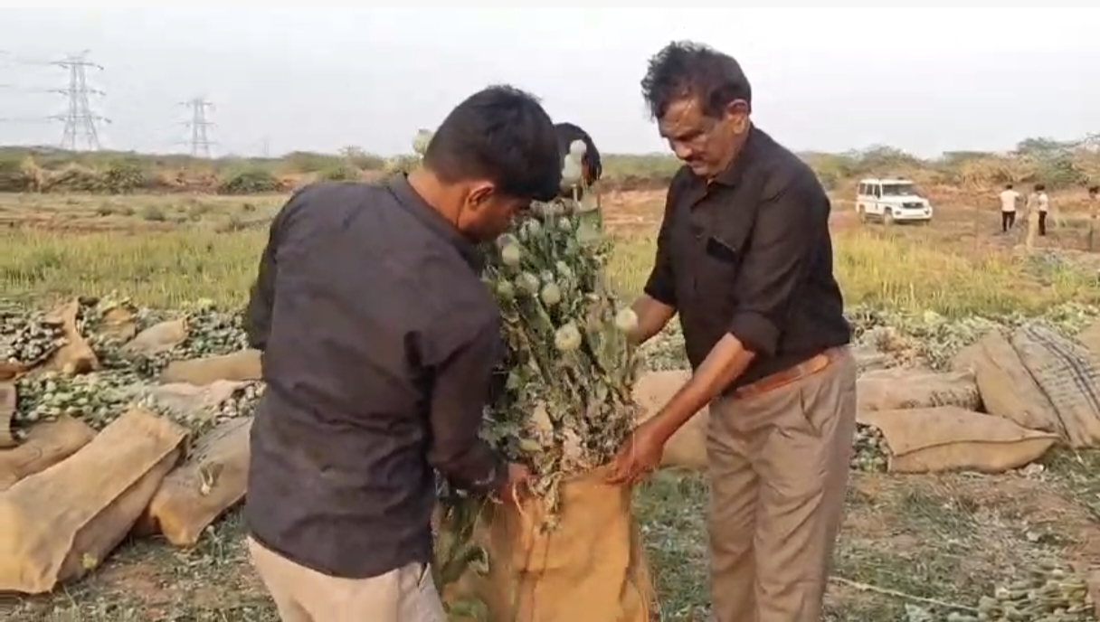 અફીણ ડોડાનો 9 કરોડથી વધુનો જથ્થો જપ્ત