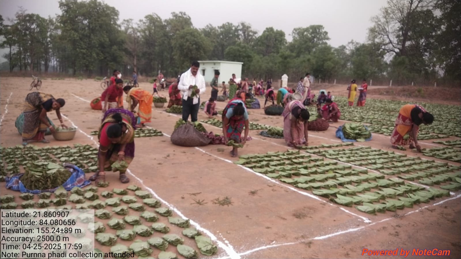 Kenduleaf wage hike demand