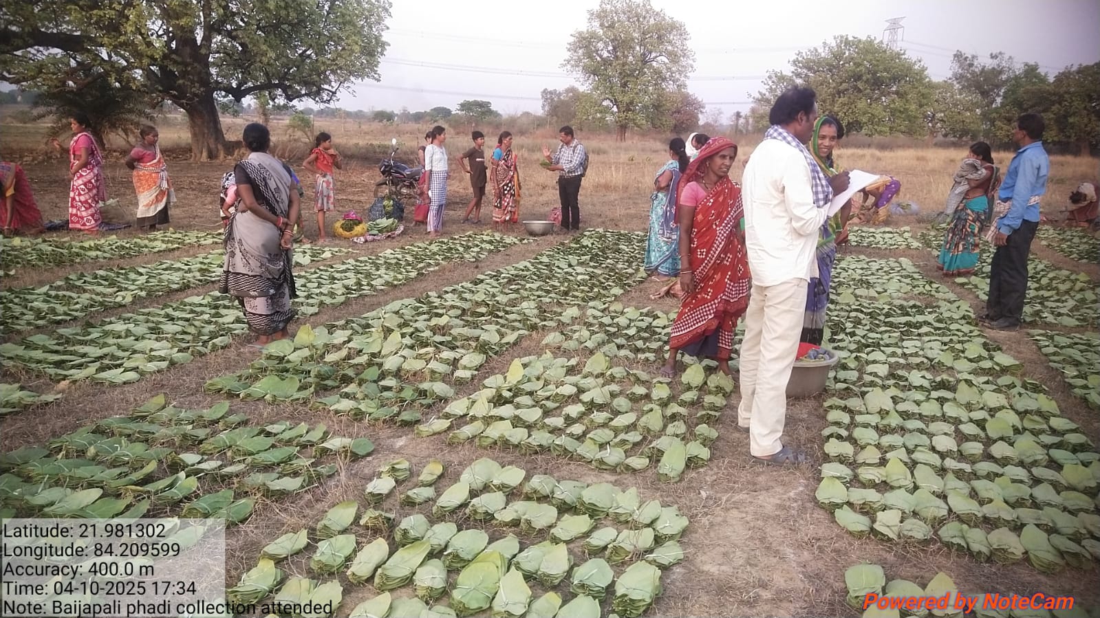 Kenduleaf wage hike demand