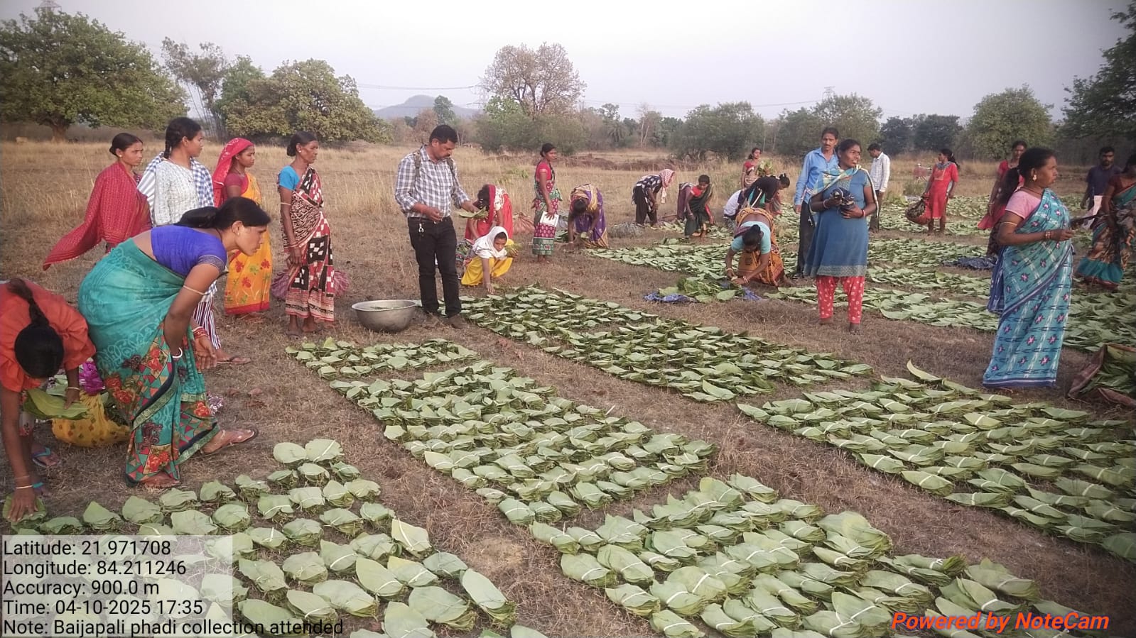 Kenduleaf wage hike demand