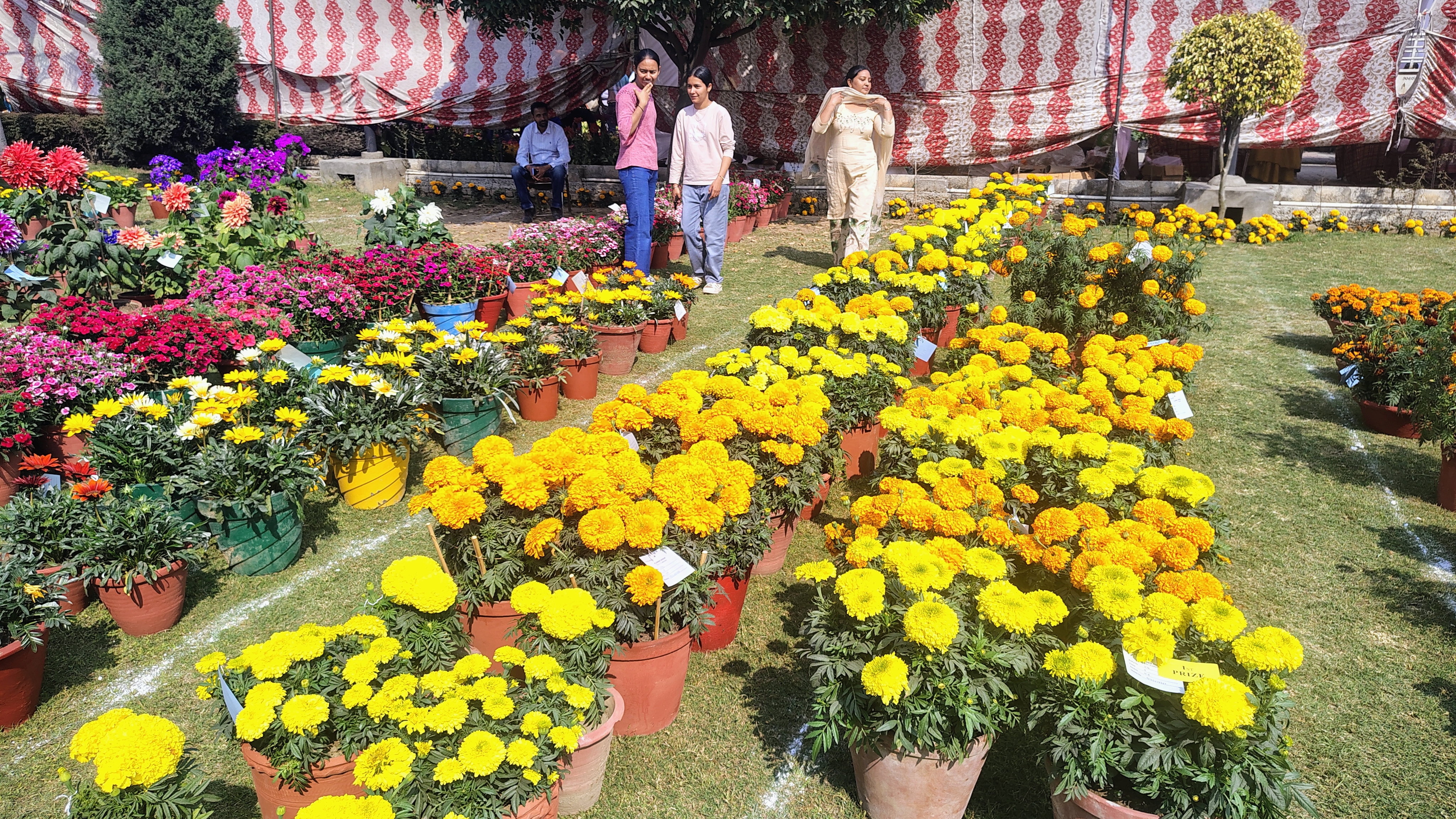 Flower fair