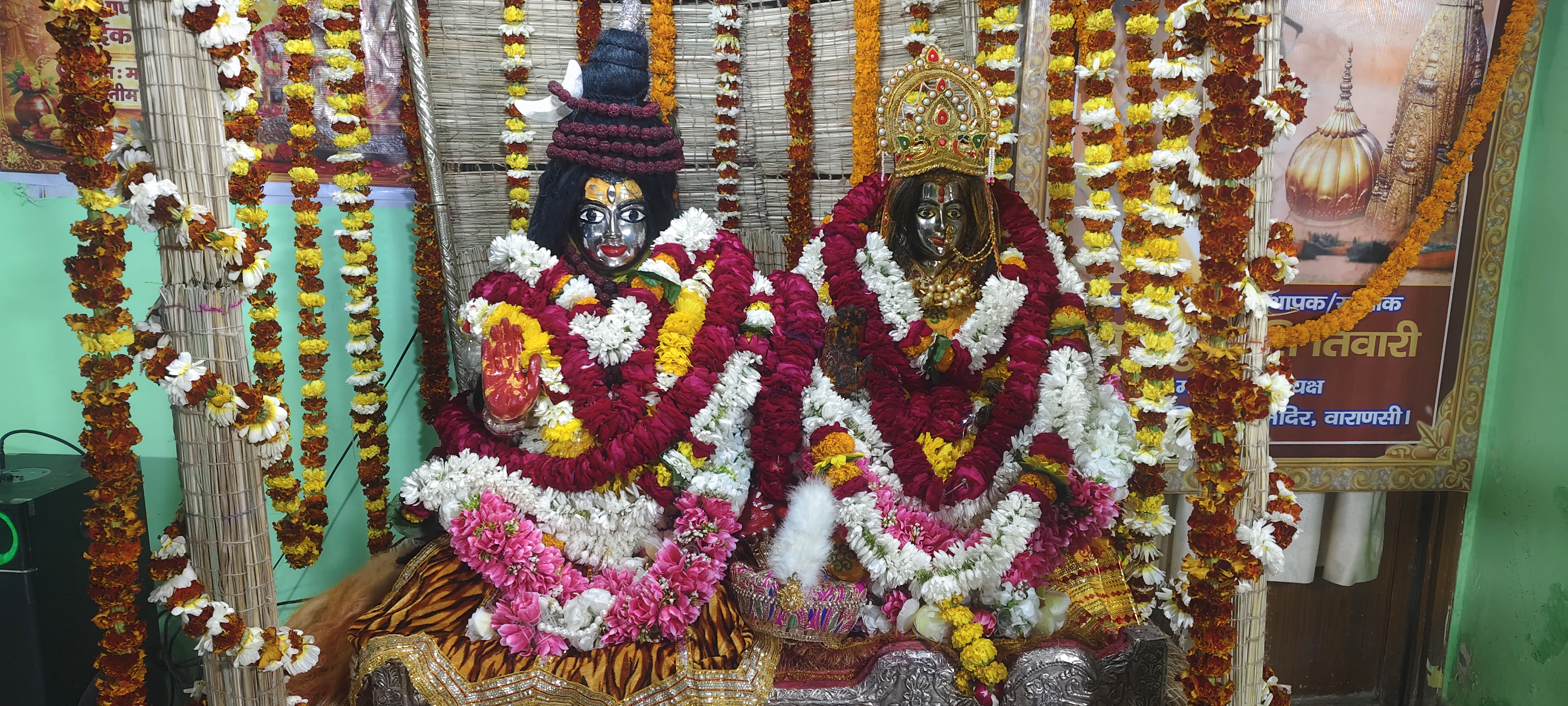 काशी में रंगभरी एकादशी की धूम.