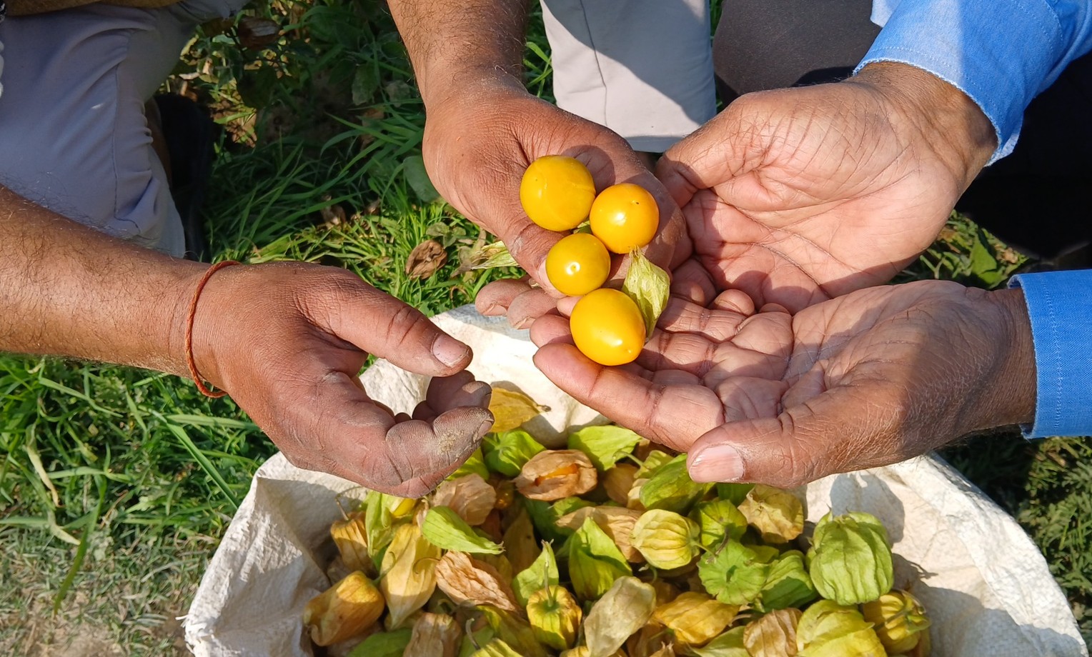 Photo Credit: ETV Bharat