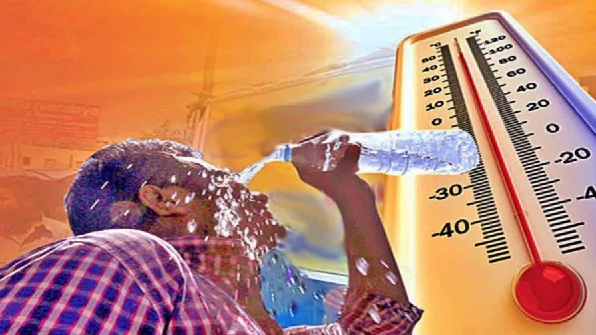 Delhi Records Hottest Day Of 2025, IMD Issues Heatwave Warning For ...