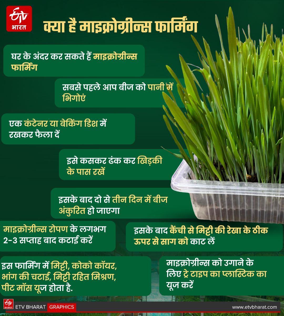 MICROGREENS FARMING AT HOME