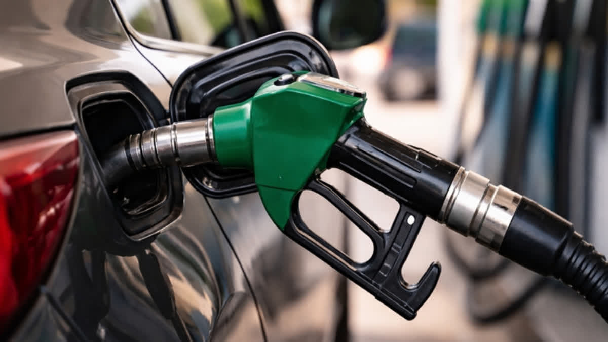 Government Cuts Excise Duty On Petrol And Diesel By Rs 10 Amid Fuel Price Hike Concerns