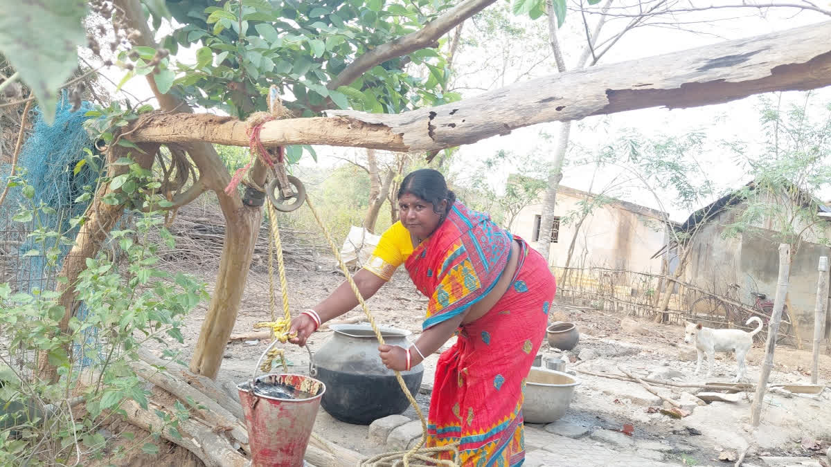 Sakuntala Chatar's Solo War Against Water Scarcity In Odisha Village
