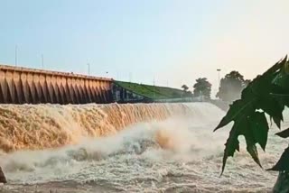 Preparations To Beautify Mahanadi