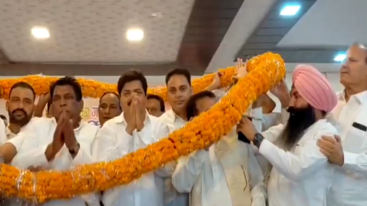 Congress State President