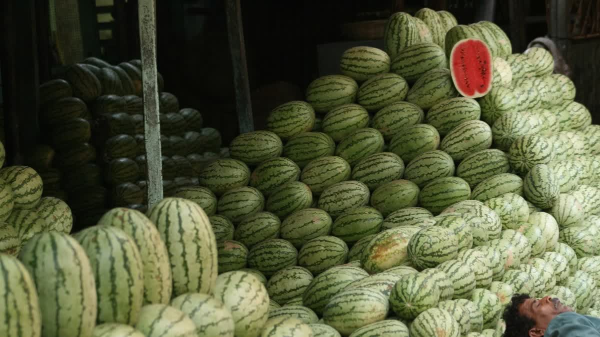 ಮಹಾರಾಷ್ಟ್ರ :ಬಿರಿಯಾನಿ ಸೇವಿಸಿದ ಬಳಿಕ ಕಲ್ಲಂಗಡಿ ಹಣ್ಣು ತಿಂದ ಒಂದೇ ಕುಟುಂಬದ ನಾಲ್ವರು ಸಾವುbiriyani watermelon eat ofter death 