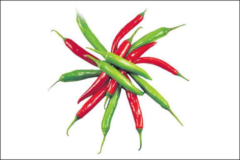 Do green chilies spoil quickly? If so, follow these easy tips to keep them fresh for a whole month.