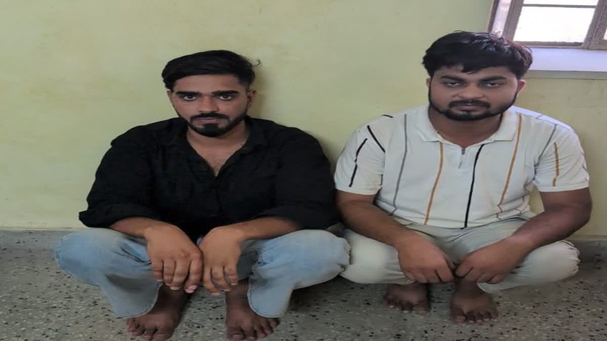 Cyber ​​Fraud Masterminds Arrested