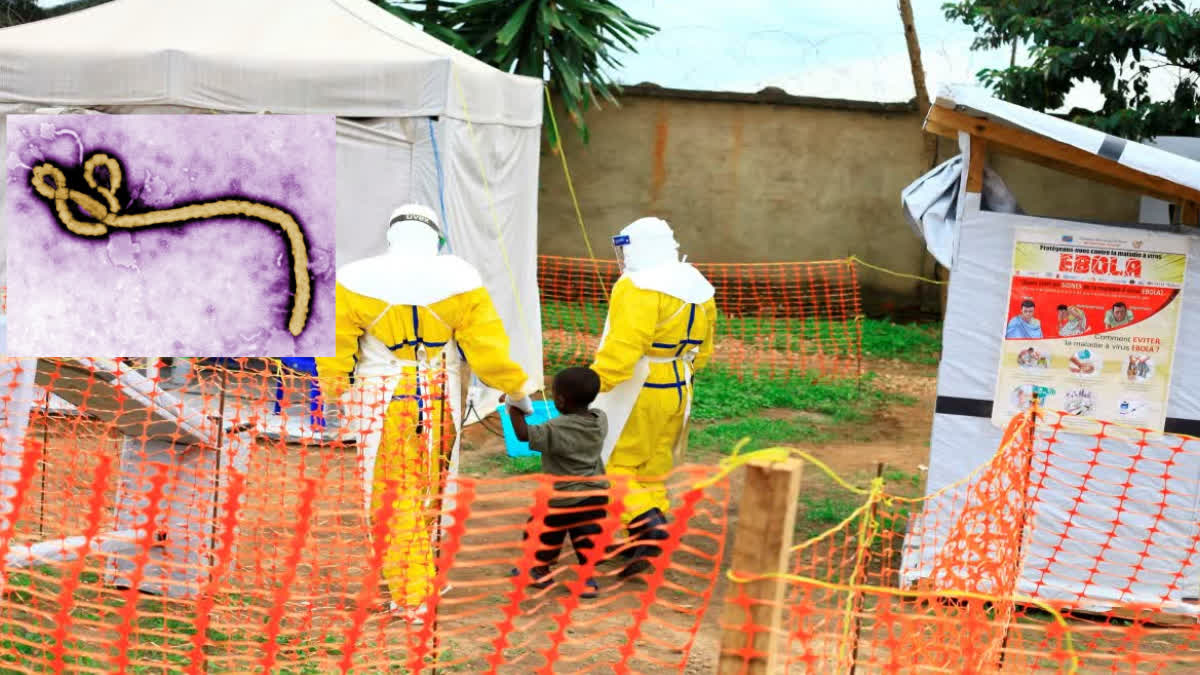 The death toll from the Ebola virus continues to rise; Russia has developed a vaccine, find out the situation in India.