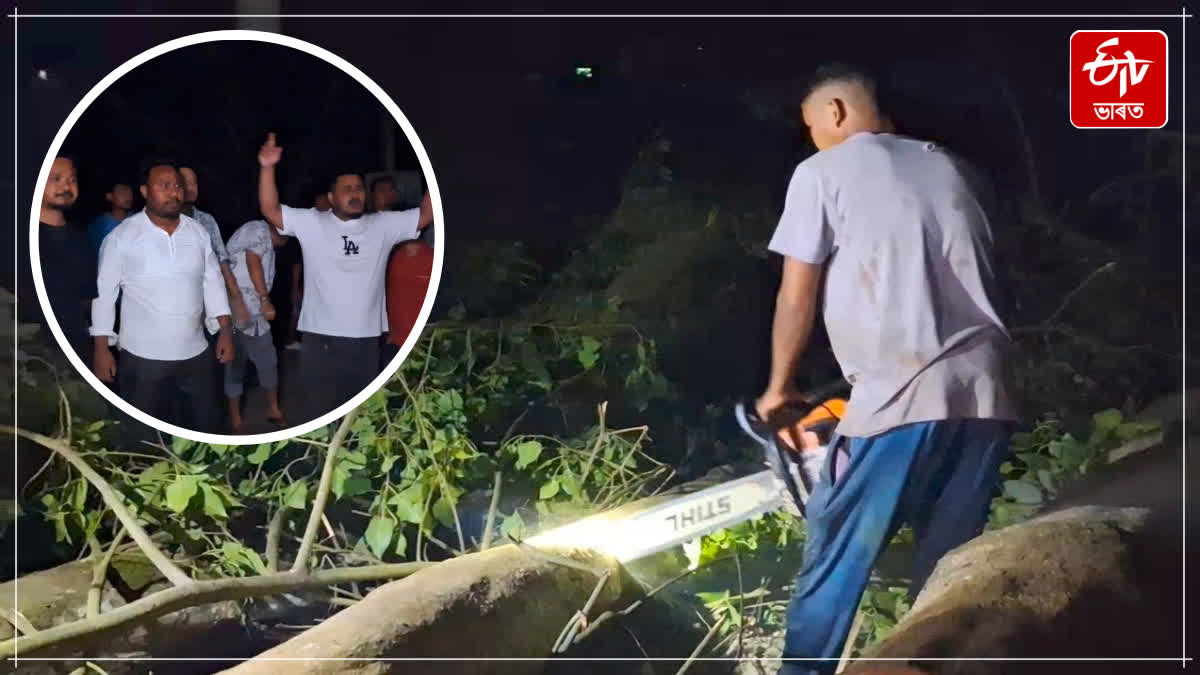 Authorities of Swami Vivekananda Central School cut down many old trees