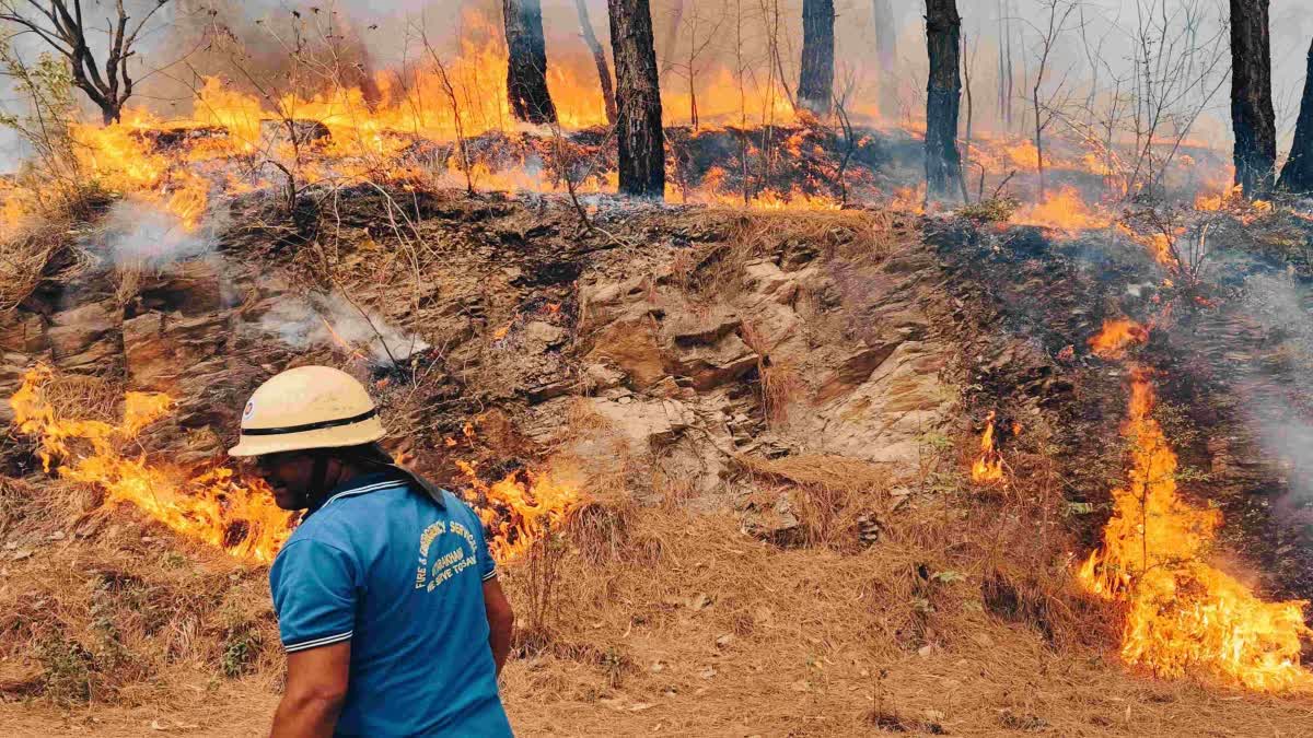FOREST DEPARTMENT INCENTIVE SCHEME