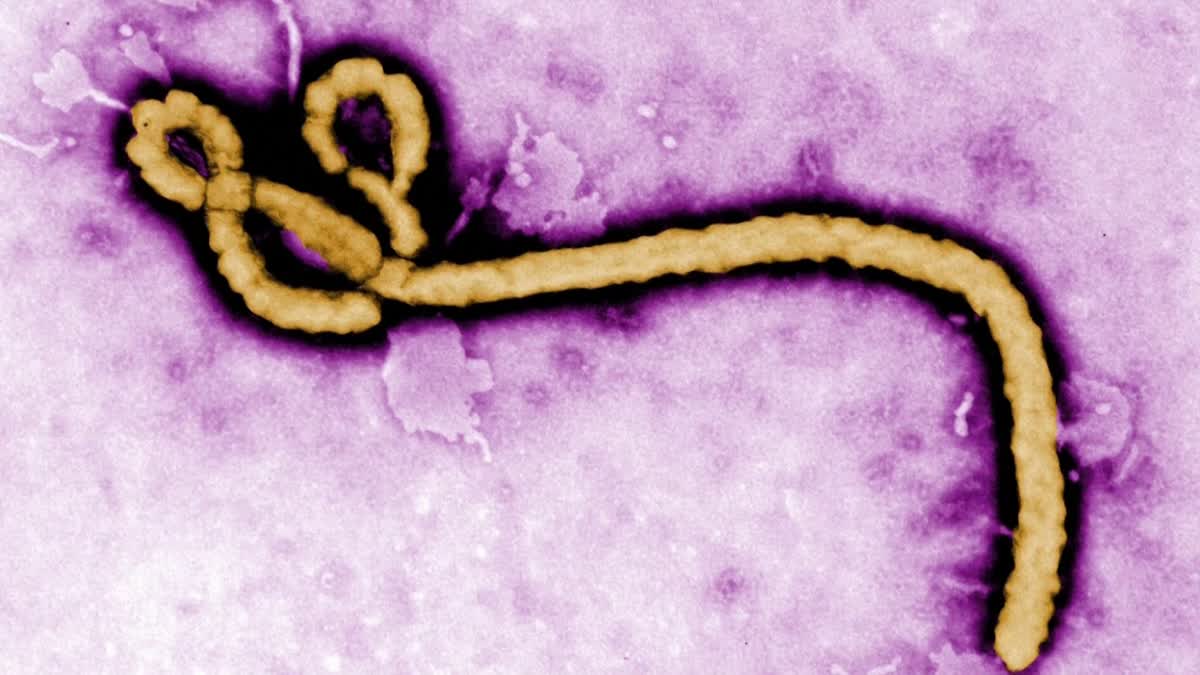 Ebola Alert in India Telugu