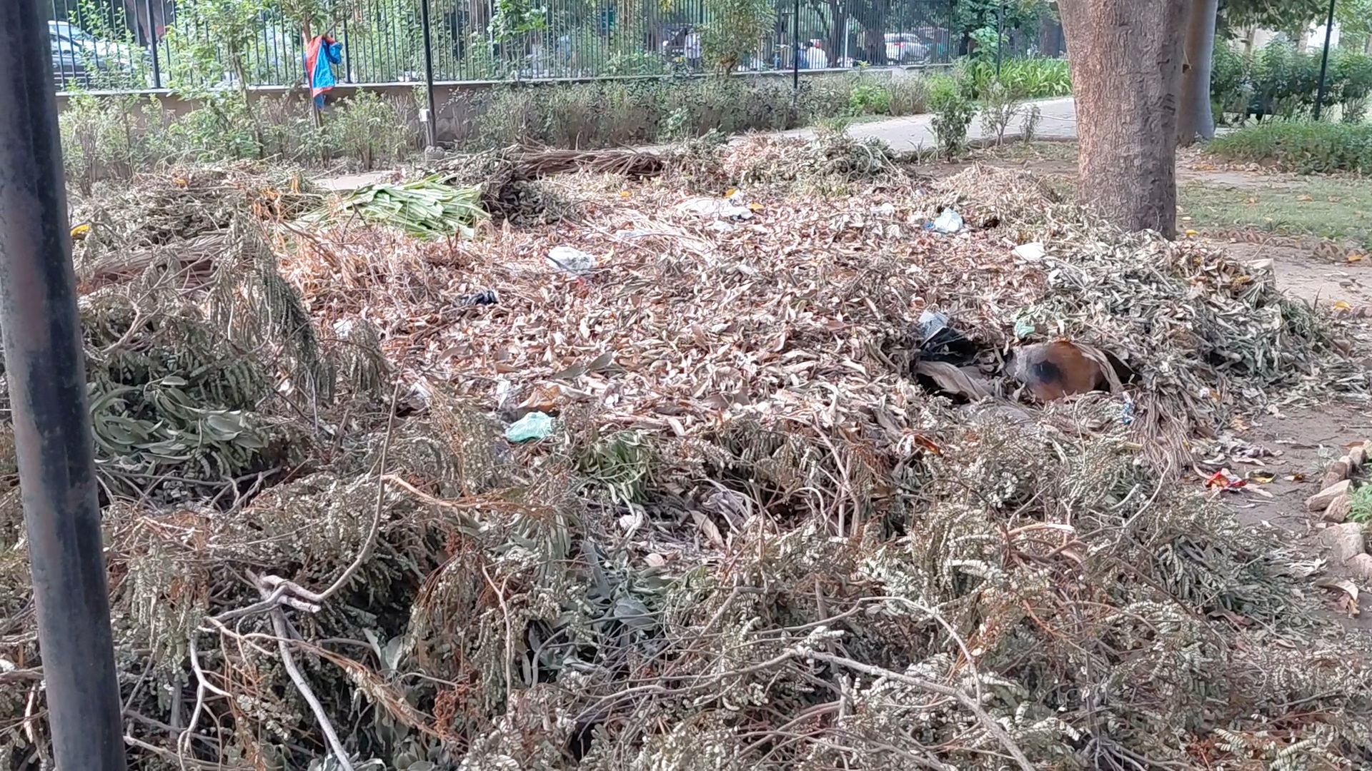 कचरे की बदबू से वॉकर्स परेशान