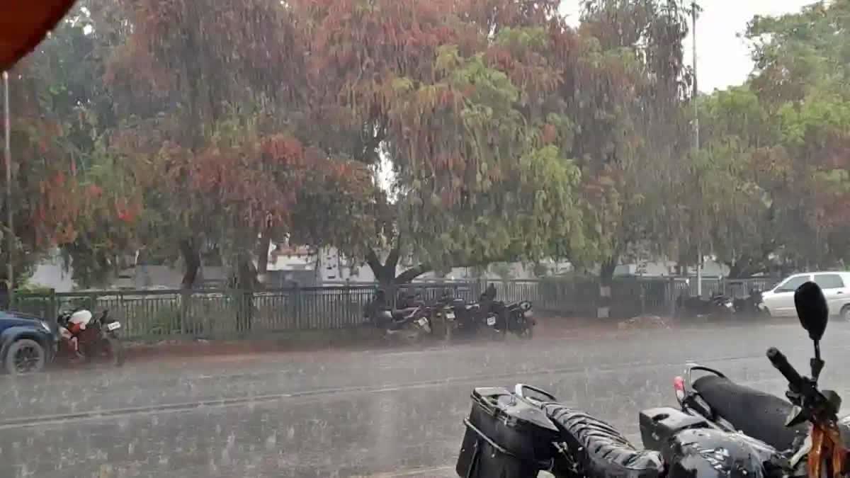 बिहार के कई हिस्सों में मॉनसून की बारिश, मौसम विभाग ने जारी किया येलो अलर्ट  - Bihar Monsoon Update