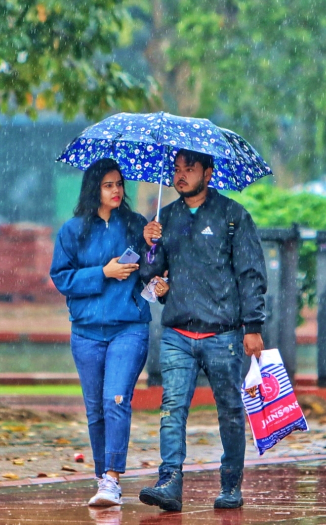 Ayurvedic herbs for strong immunity