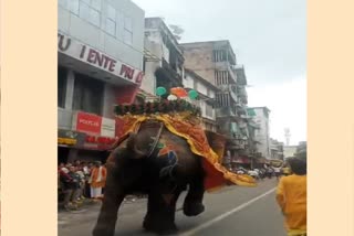ELEPHANT FLARED UP IN AHMEDABAD RATH YATRA