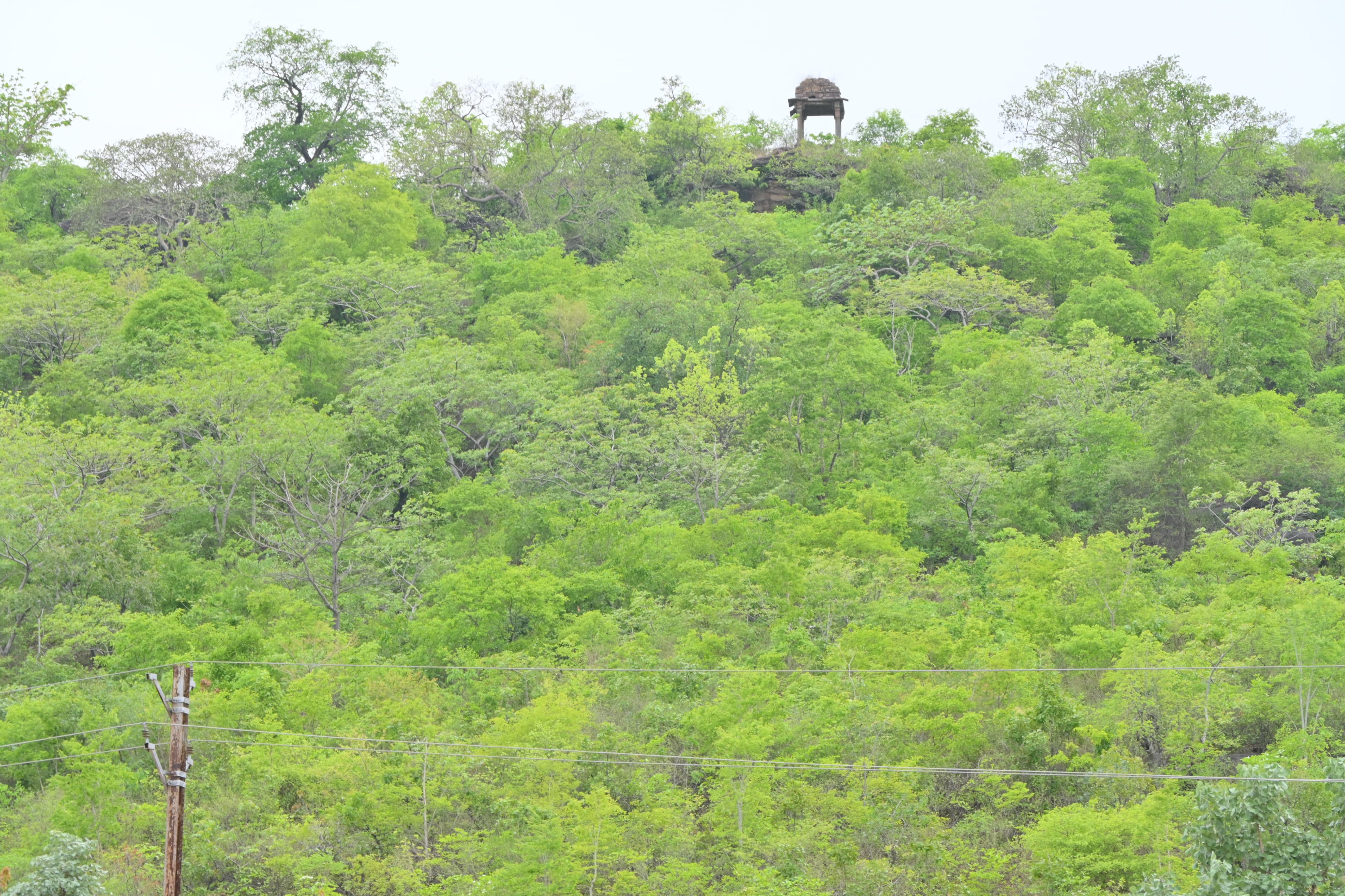 raisen weather report