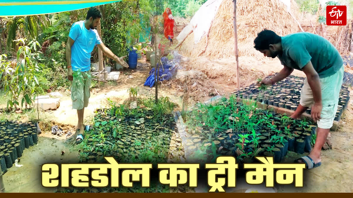 SHAHDOL TREE MAN MUKESH KEWAT