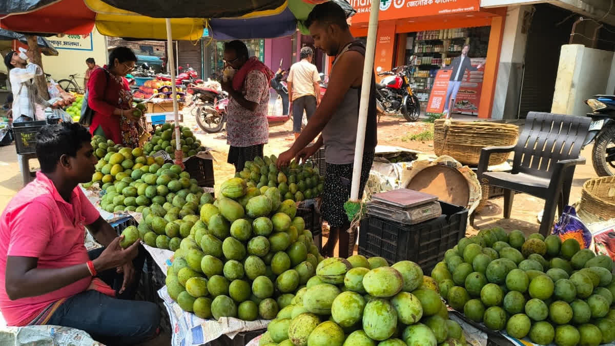 In Effort To Save Rare Varieties Of Malda Mangoes From Extinction, Some To Be Showcased At Mango Fest In Kolkata Kolkata