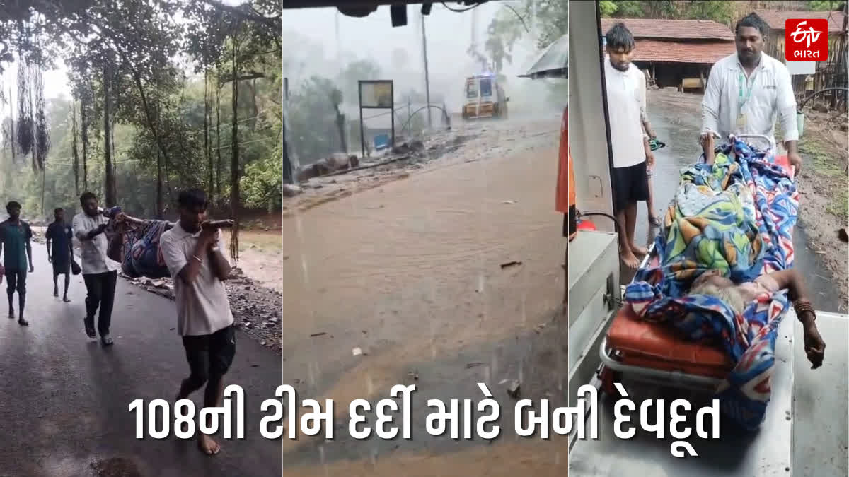 108ની ટીમે જોળીમાં દર્દીને નાખીને લઈ ગઈ