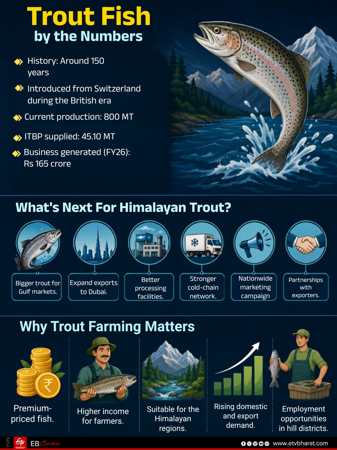 Trout Fish: The numbers