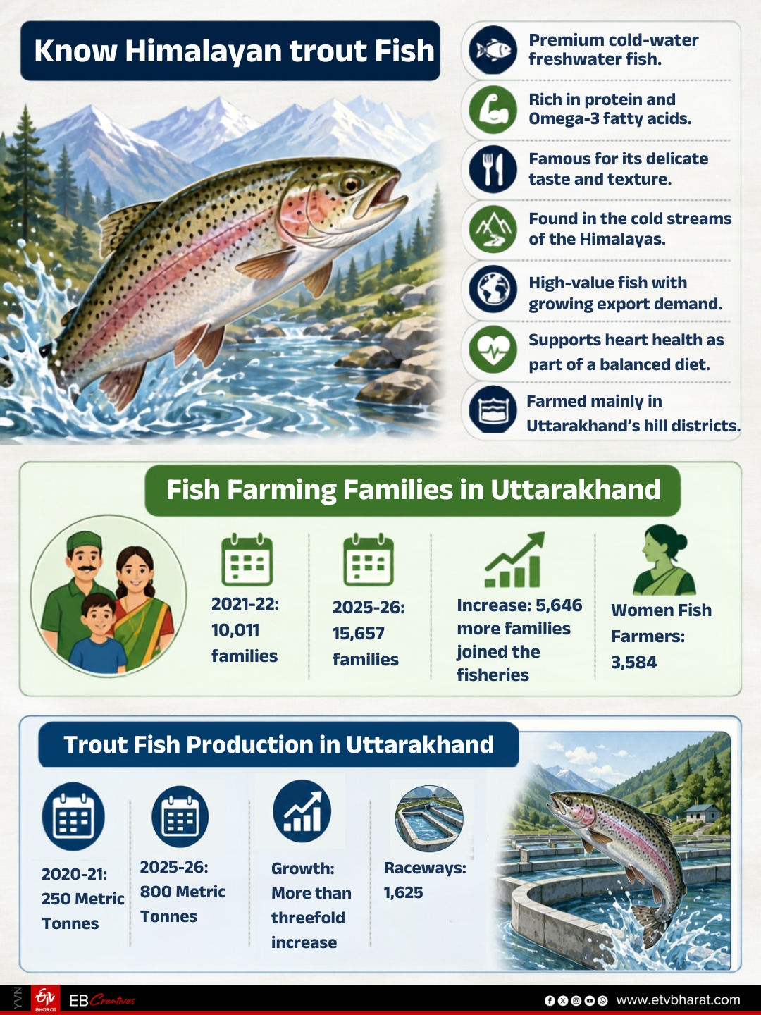 Know about the Himalayan Trout Fish