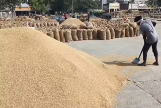 SIT arrested rice mill owner Nasib Singh in the high profile paddy scam in Karnal