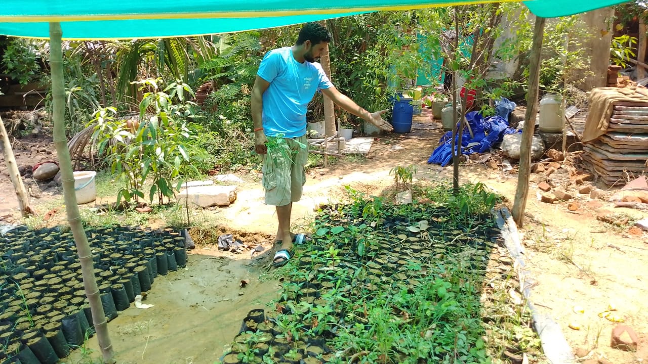 Mukesh Kewat planted 1000 trees