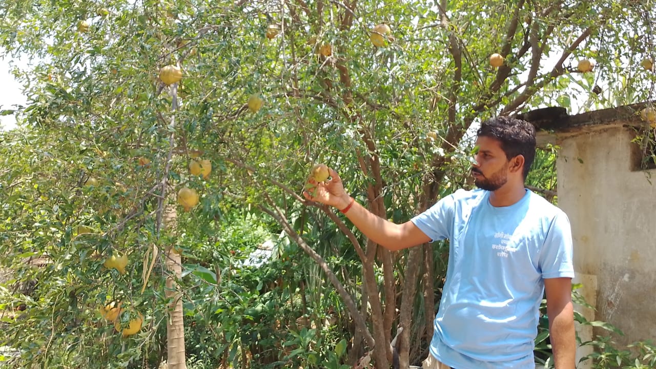 MP Gohparu Block Plantation Drive