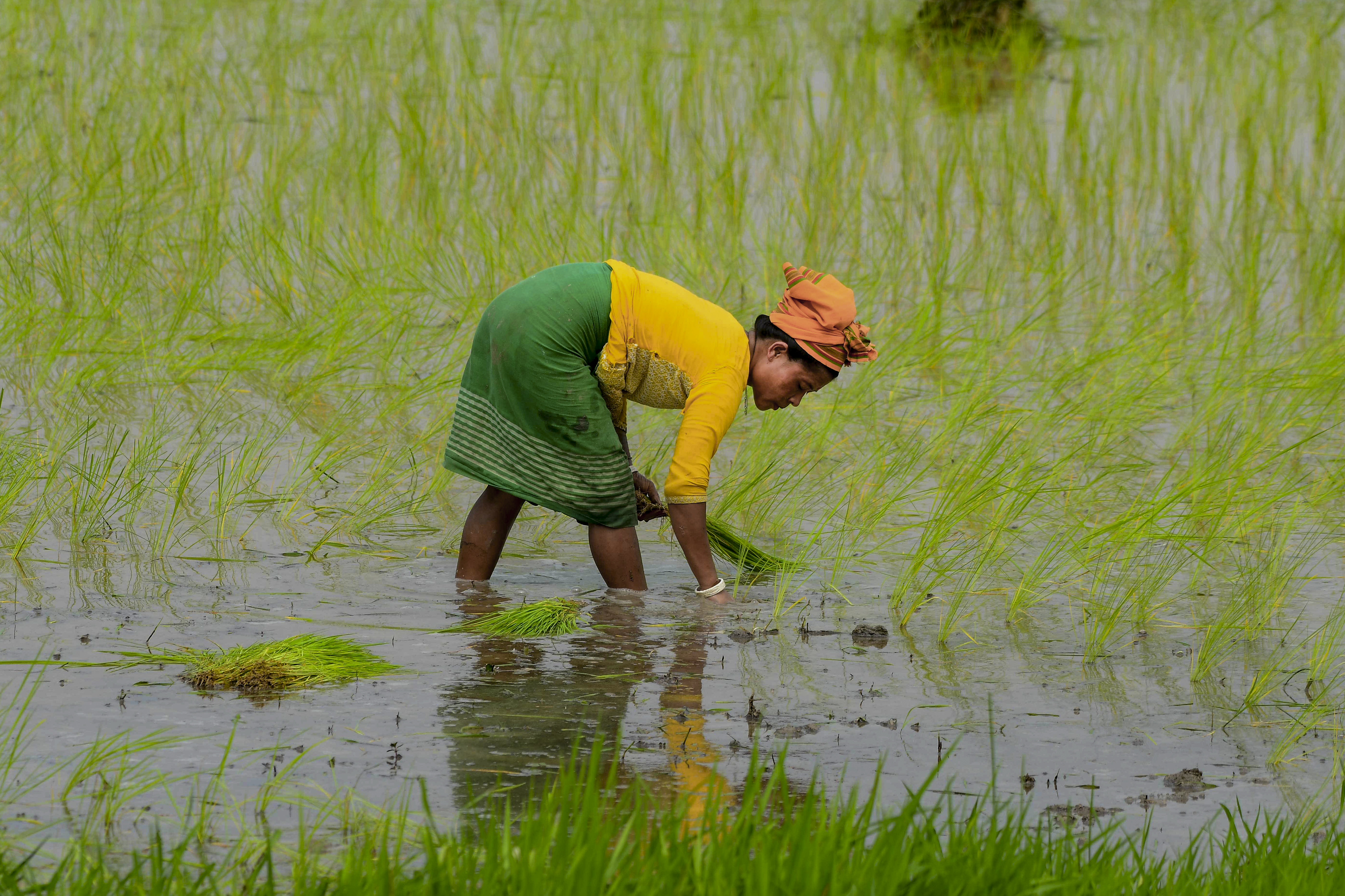 monsoon 2026